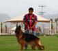 Dalko with new owner in Saudi Arabia