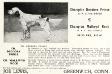 Deodora Prince (AKC 094159) (Kennel Advertisement) From the Field Trial Record of Dogs in America