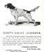 Sport&#x27;s Count Danstone (003490) Kennel Advertisement from Field Trial Record of Dogs in America