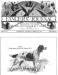 Jennie (First Eastern Field Trial Winner 1879) on te Cover of the Novenber 1890 Fancier&#x27;s Journal