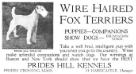 Prides Hill Tweak&#x27;Em (Kennel advertisement from a 1918 Vanity Fair Magazine)