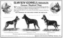 Harry vom Nahetal&#x27;s 1916 Vanity Fair Kennel ad