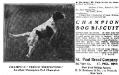 Prince Whitestone&#x27;s 1907 Kennel Advertisement