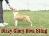  Dizzy Glory Diva Sting