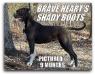  Brave heart'S shady boots