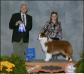 AKC/ASCA CH Northbay's Who Dat N Bayouland