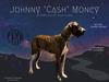  Johnny Cash Money