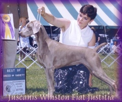 Juscanis Winston Fiat Justitia