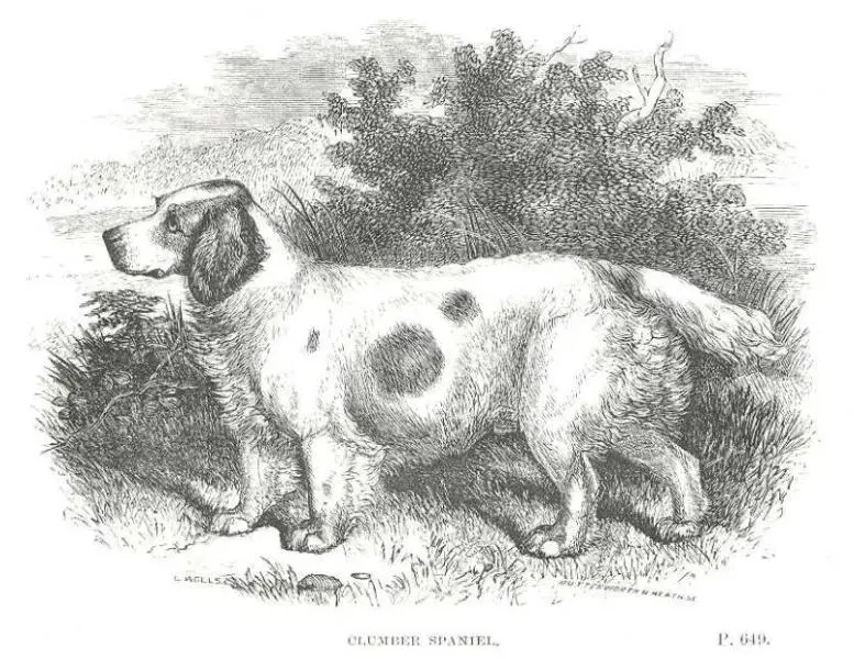 Butterworth of Heasenby (c.1867)