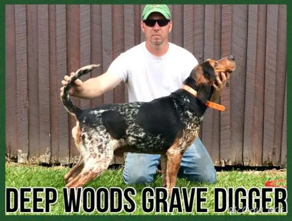 Deep Woods Grave Digger