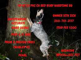 Red Ruby Hardtime Bo