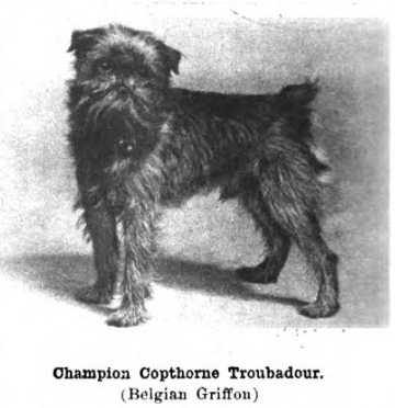 Copthorne Troubador (c.1922)