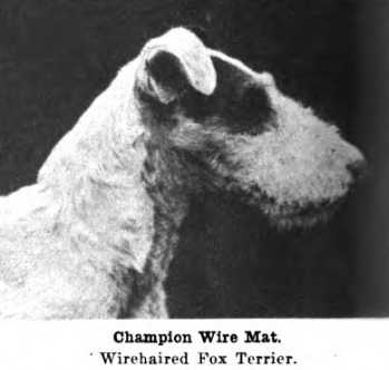 Wire Mat (c.1922)