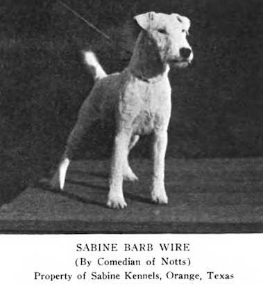 Sabine Barb Wire 204064