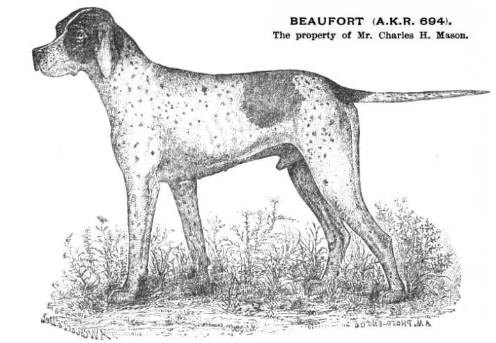 Beaufort (AKR 000694)