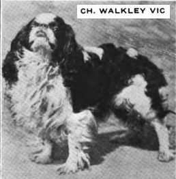 Walkley Vic