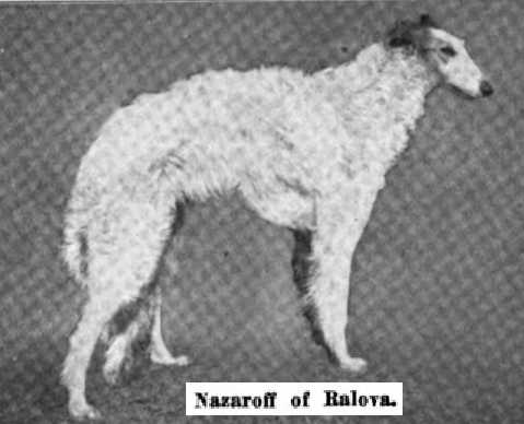 Nazaroff of Ralova