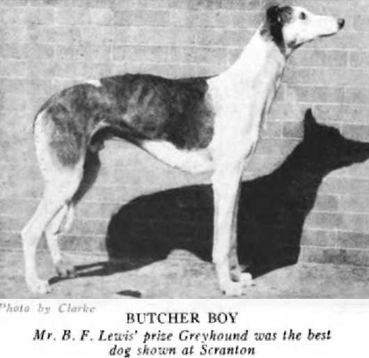 Butcher Boy [Mr. B.F. Lewis']