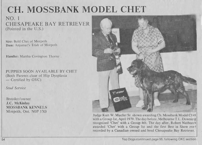 Mossbank Model Chet