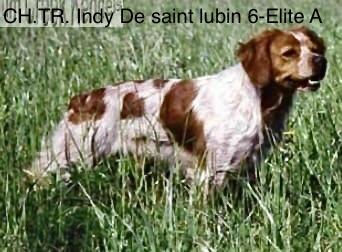 INDY de Saint Lubin