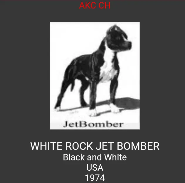 White Rock Jet Bomber