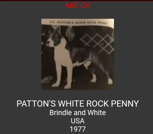 PATTON'S WHITE PENNY
