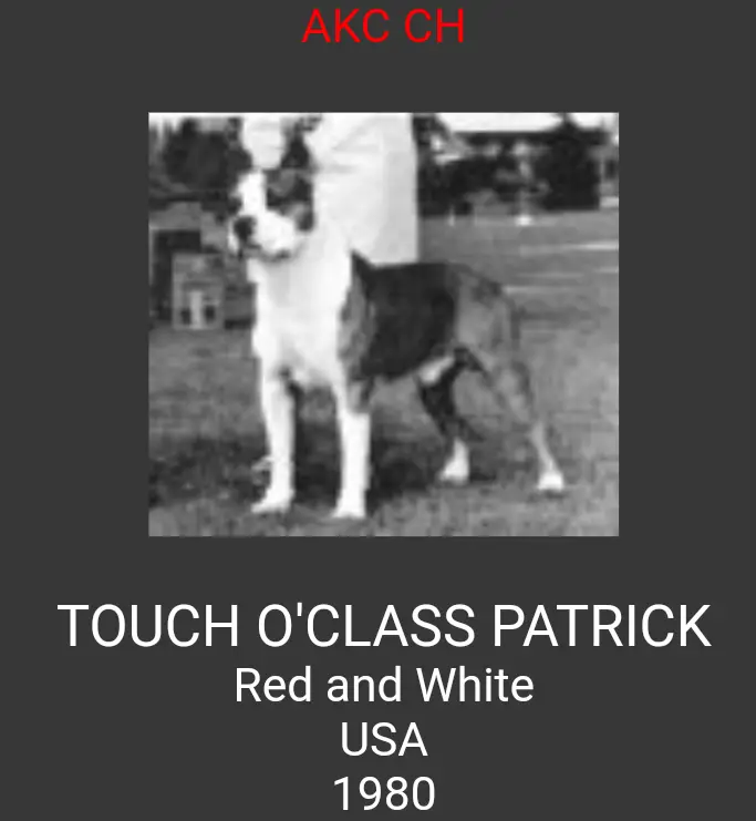 TOUCH O'CLASS PATRICK