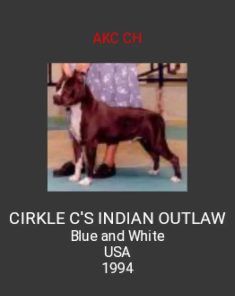 CIRKLE C'S INDIAN OUTLAW