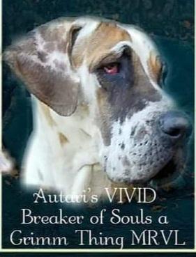 Autari's Vivid Breaker Of Souls A Grimm Thing Mrvl